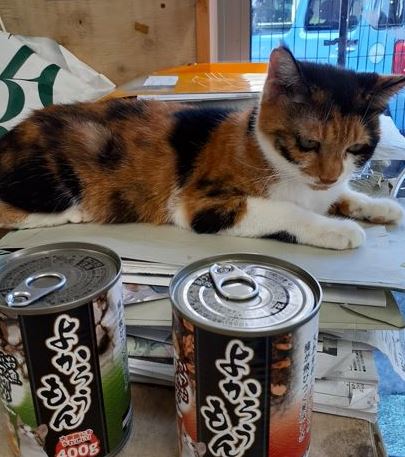 �T���v���摜�c